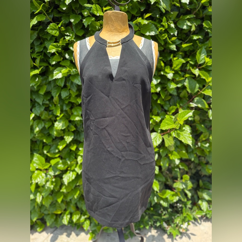 Chic Black Sleeveless Dress